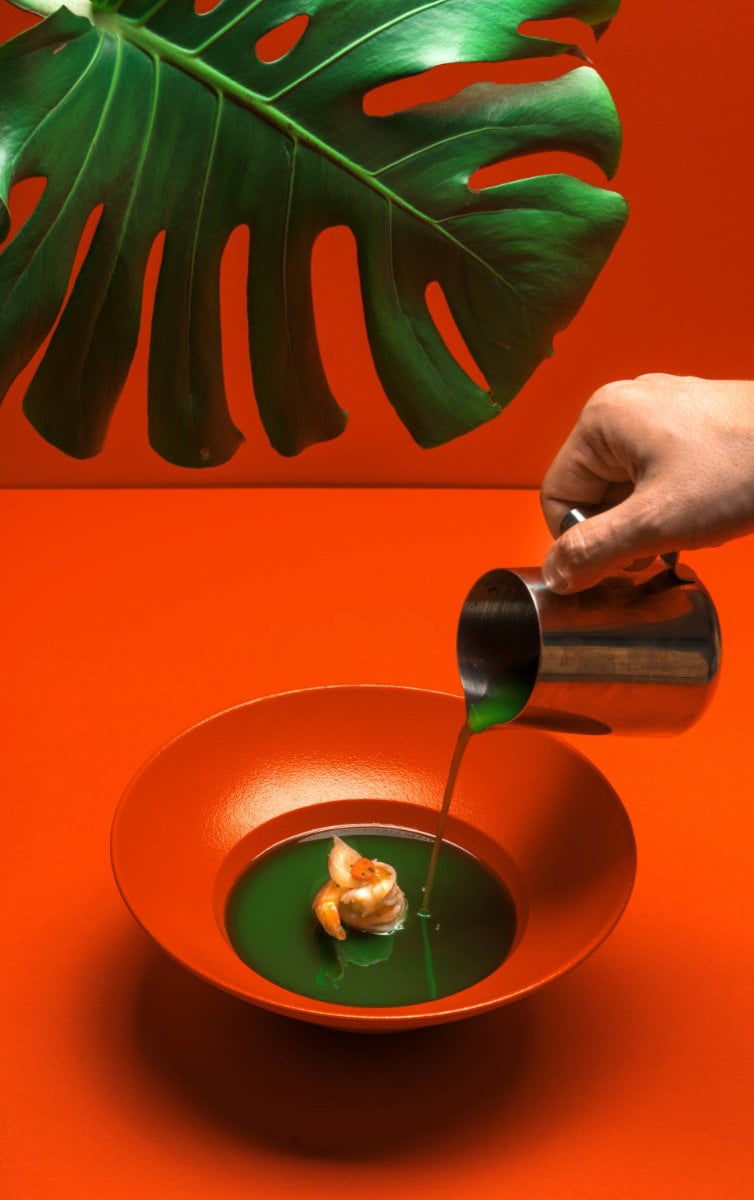 green-sauce-red-dish